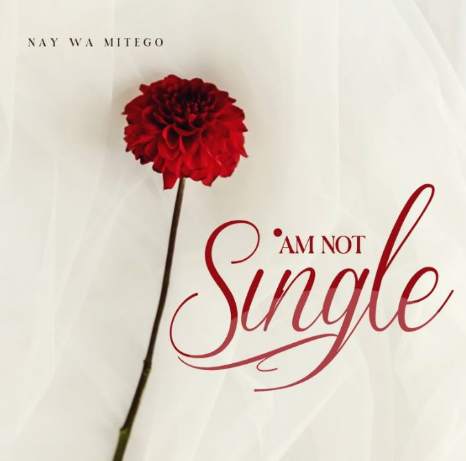 AUDIO | Nay Wa Mitego – Am Not Single | Download Mp3