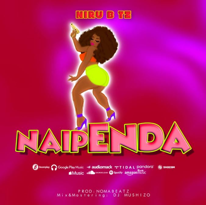 AUDIO | Niru B – Naipenda Mp3 Download