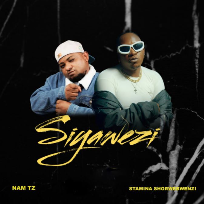 AUDIO | Nam Tz Ft Stamina Shorwebwenzi – Siyawezi | Download Mp3