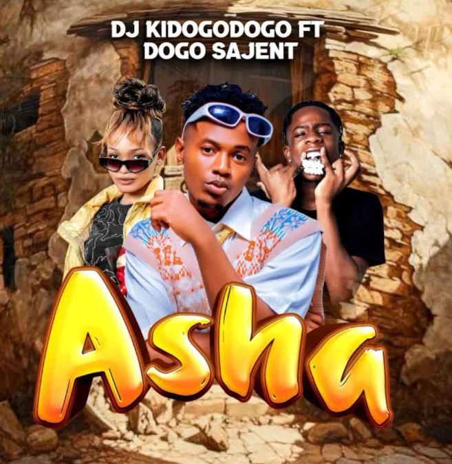 AUDIO | Dj Kidogodogo Ft. Dogo Sajent – Asha | Download Mp3